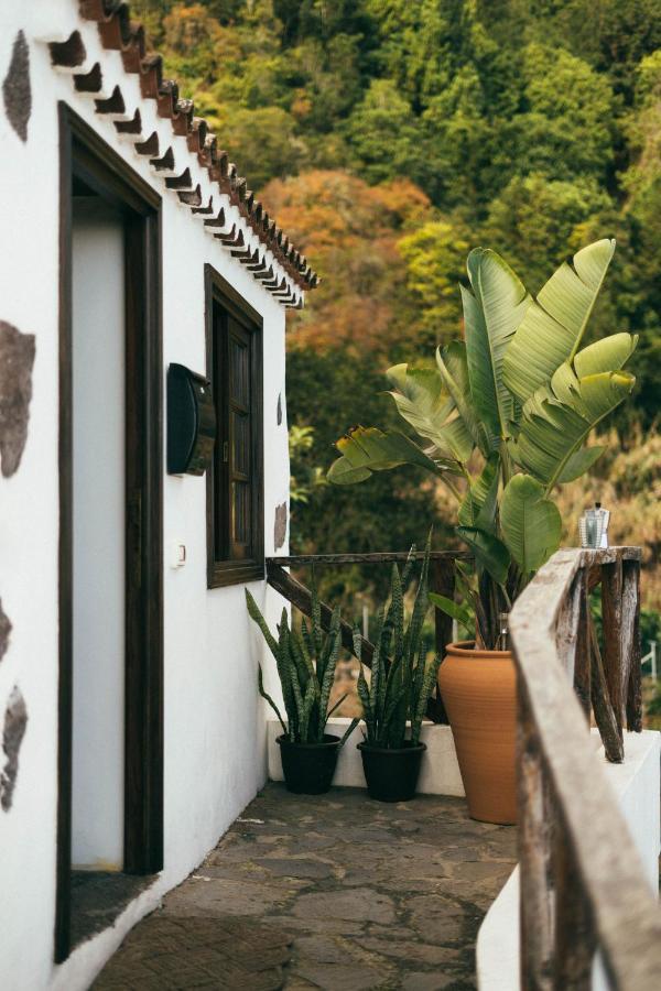 Las Casitas Del Bebedero - Yoga & Ecoturismo Икод-де-лос-Винос Экстерьер фото
