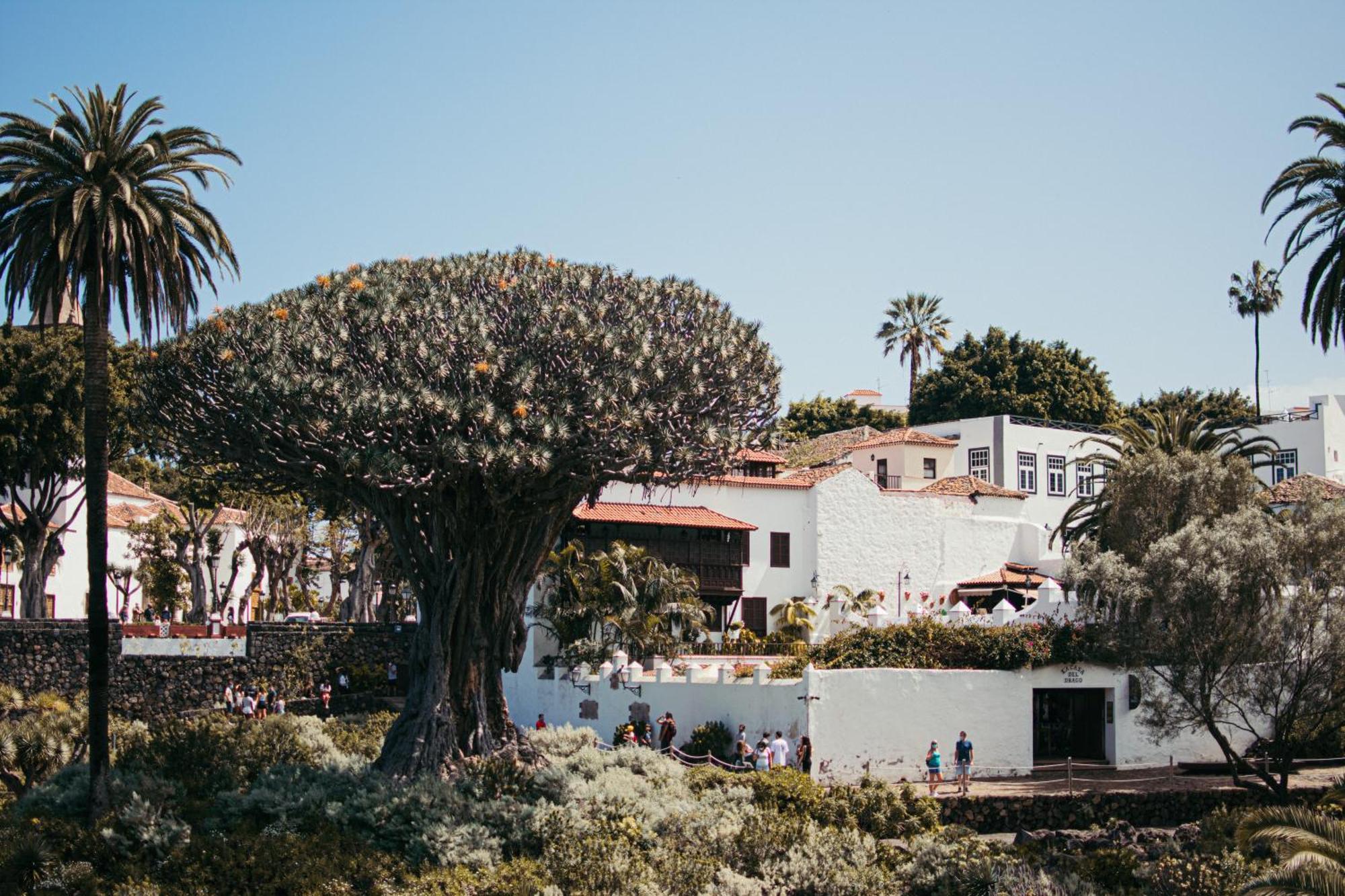Las Casitas Del Bebedero - Yoga & Ecoturismo Икод-де-лос-Винос Экстерьер фото